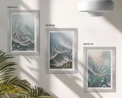 Posterpaket vattendroppar på maskrosens fina skott