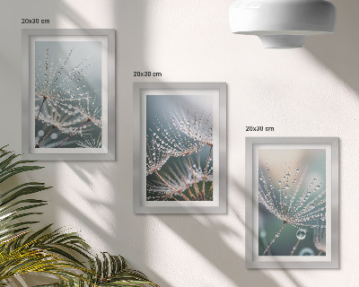 Posterpaket Vattendroppar på maskrosornas fina skott
