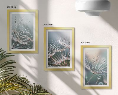 Posterpaket Vattendroppar på maskrosornas fina skott
