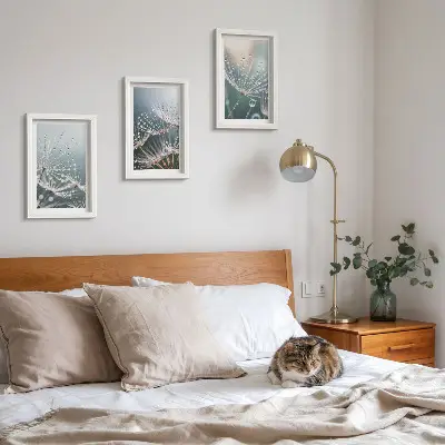 Posterpaket vattendroppar på maskrosens fina skott