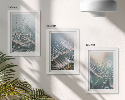 Posterpaket Vattendroppar på maskrosornas fina skott