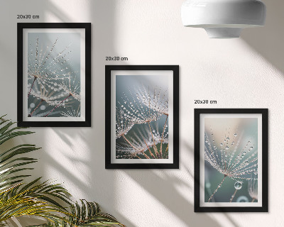 Posterpaket Vattendroppar på maskrosornas fina skott