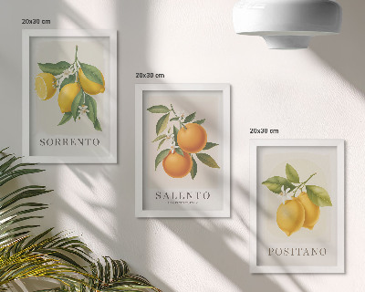 Triptyk tavla med ram Citroner och apelsiner från Amalfikusten i Italien