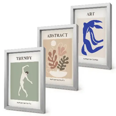 Posterpaket affischer med figurer och växter av Henri Matisse