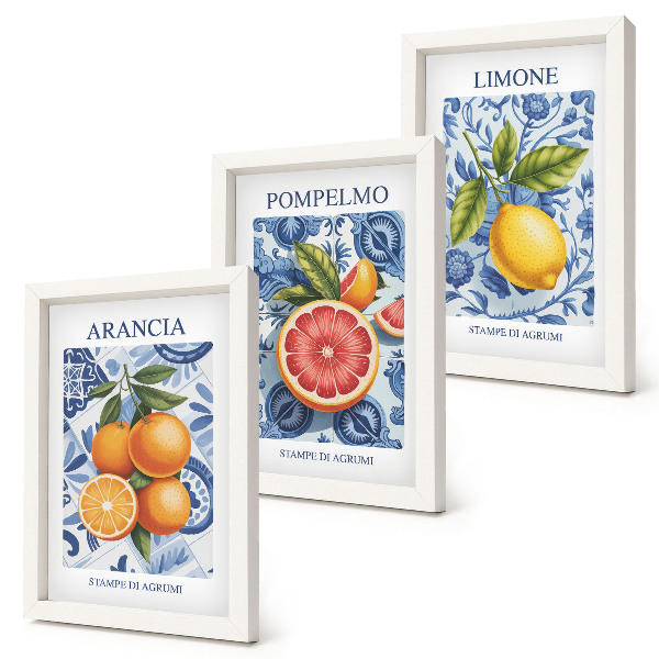Posterpaket Vintage citrusfrukter illustrationer