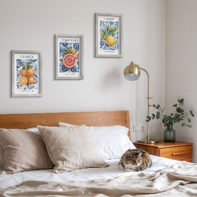 Posterpaket Vintage citrusfrukter illustrationer