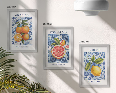 Posterpaket Vintage citrusfrukter illustrationer
