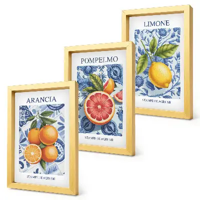 Posterpaket med illustrationer av vintage citrusfrukter