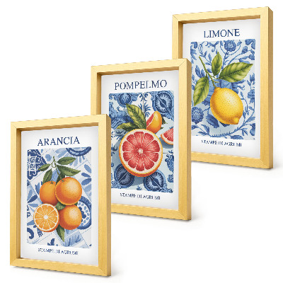 Posterpaket Vintage citrusfrukter illustrationer
