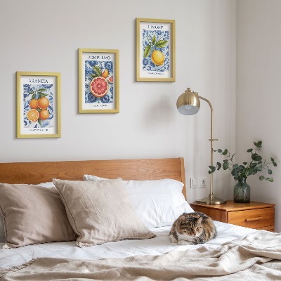 Posterpaket Vintage citrusfrukter illustrationer