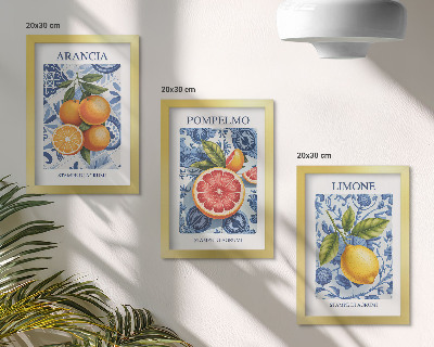 Posterpaket Vintage citrusfrukter illustrationer