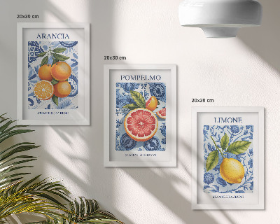 Posterpaket Vintage citrusfrukter illustrationer
