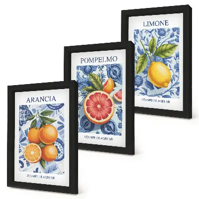 Posterpaket med illustrationer av vintage citrusfrukter