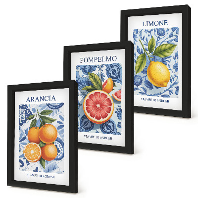 Posterpaket Vintage citrusfrukter illustrationer
