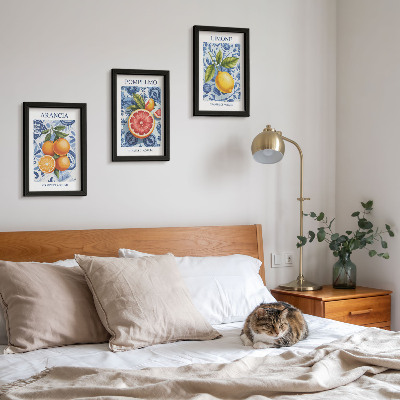 Posterpaket Vintage citrusfrukter illustrationer
