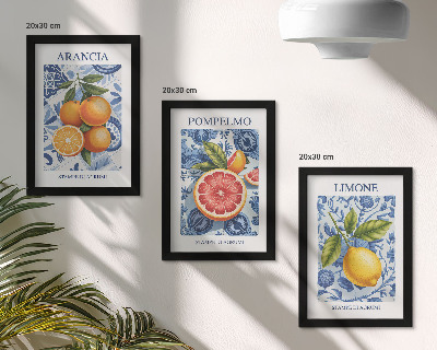 Posterpaket Vintage citrusfrukter illustrationer
