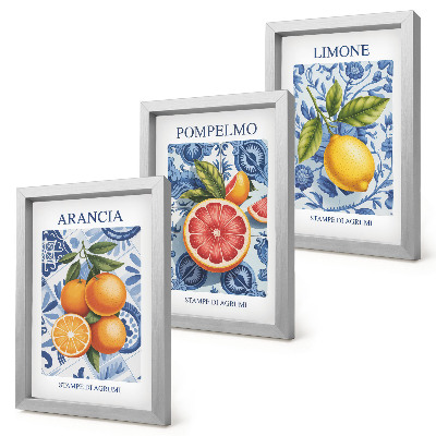 Posterpaket Vintage citrusfrukter illustrationer