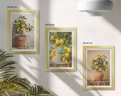 Tavelvägg med 3 tavlor med motiv av citronträd i krukor och vaser