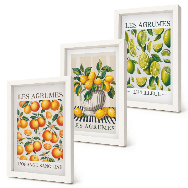 Posterpaket Citrusfrukter i olika färgglada och fräscha versioner