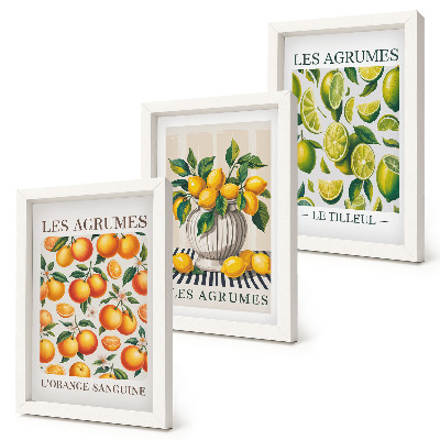 Posterpaket Citrusfrukter i olika färgglada och fräscha versioner