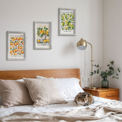 Posterpaket Citrusfrukter i olika färgglada och fräscha versioner