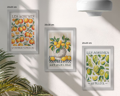 Posterpaket Citrusfrukter i olika färgglada och fräscha versioner