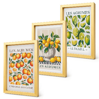 Posterpaket Citrusfrukter i olika färgglada och fräscha versioner