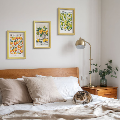 Posterpaket Citrusfrukter i olika färgglada och fräscha versioner
