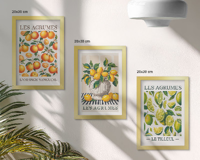 Posterpaket Citrusfrukter i olika färgglada och fräscha versioner