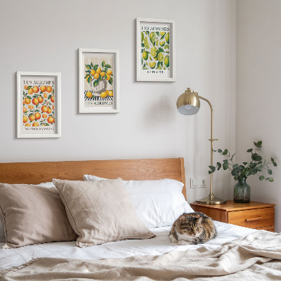 Posterpaket Citrusfrukter i olika färgglada och fräscha versioner