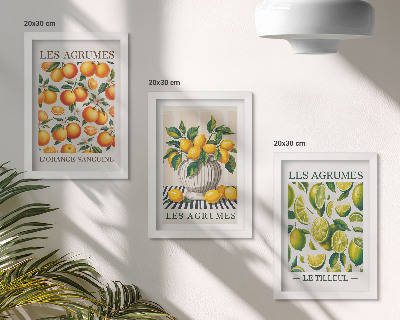 Posterpaket Citrusfrukter i olika färgglada och fräscha versioner
