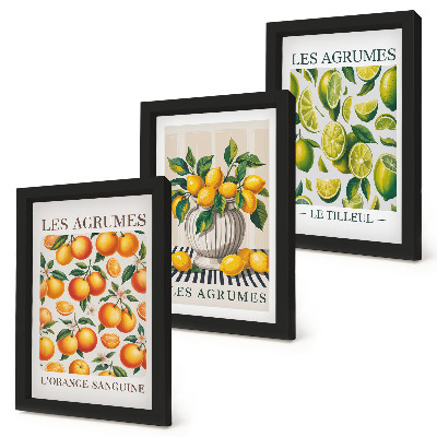 Posterpaket Citrusfrukter i olika färgglada och fräscha versioner
