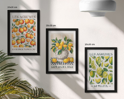 Posterpaket Citrusfrukter i olika färgglada och fräscha versioner