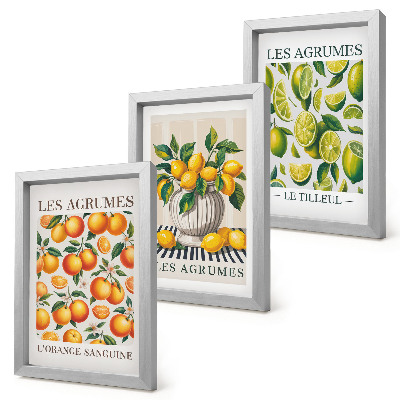 Posterpaket Citrusfrukter i olika färgglada och fräscha versioner