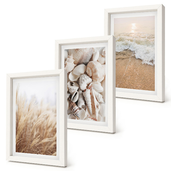 Posterpaket Strandmotiv med snäckor och havsvågor