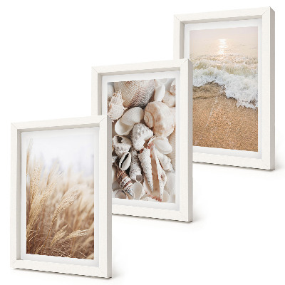 Posterpaket Strandmotiv med snäckor och havsvågor