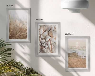 Posterpaket Strandmotiv med snäckor och havsvågor