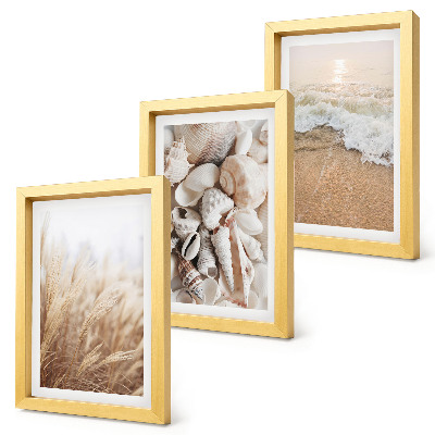 Posterpaket Strandmotiv med snäckor och havsvågor