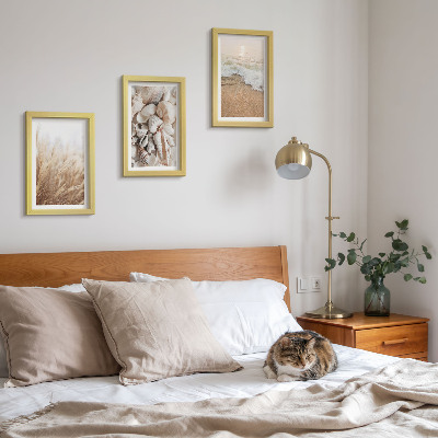 Posterpaket Strandmotiv med snäckor och havsvågor