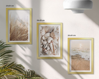 Posterpaket Strandmotiv med snäckor och havsvågor