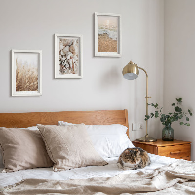 Posterpaket Strandmotiv med snäckor och havsvågor