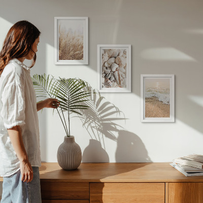 Posterpaket Strandmotiv med snäckor och havsvågor