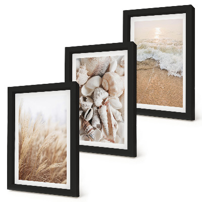 Posterpaket Strandmotiv med snäckor och havsvågor