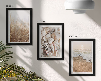 Posterpaket Strandmotiv med snäckor och havsvågor
