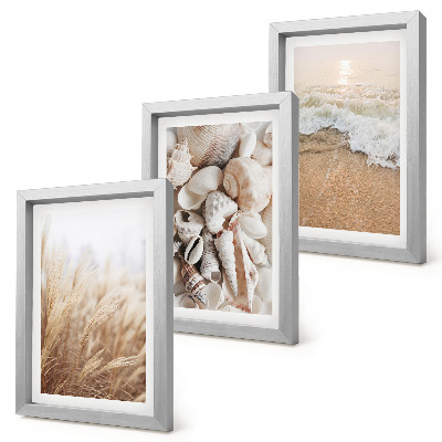 Posterpaket Strandmotiv med snäckor och havsvågor