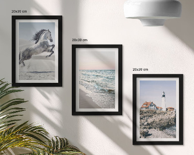 Posterpaket Hästar i rörelse strand och fyr vattenvågor