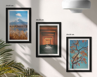 Posterpaket Japanska landskap, natur och arkitektur i Asien