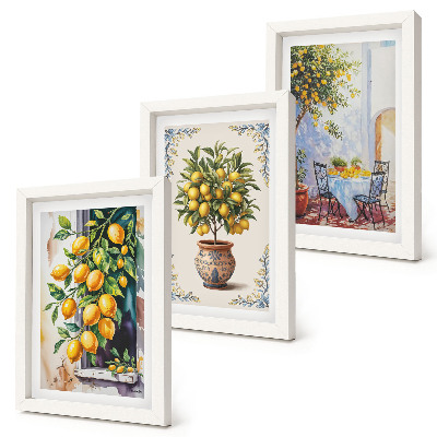 Posterpaket Citronträd och frukt i solig miljö