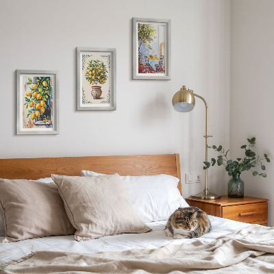 Posterpaket Citronträd och frukt i solig miljö
