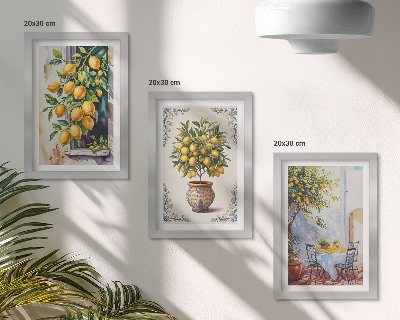 Posterpaket Citronträd och frukt i solig miljö